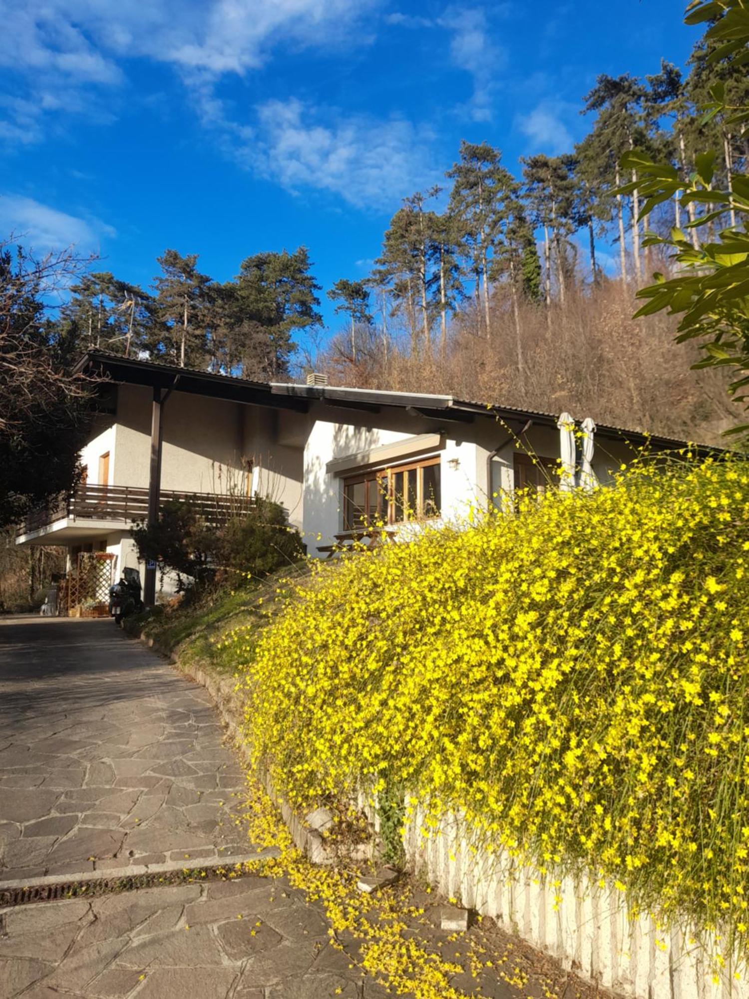 Marzola Bed and Breakfast Trento Eksteriør billede